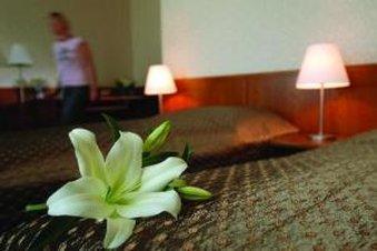 Hotel Rzymski Hotel Poznan
